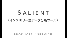 SALIENT (インメモリー型データ分析ツール)